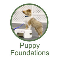 Puppy Foundation Classes