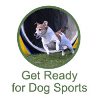 Getting Ready for Dog Sports Classes