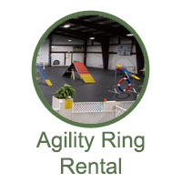 Agility Ring Rental for students
