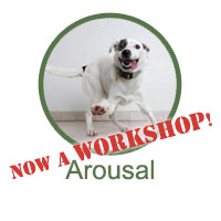  Arousal - now offered in a Workshop format