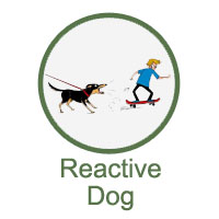 Reactive Dog Training