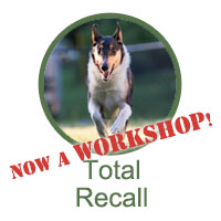 Total Recall - now offered in a Workshop format