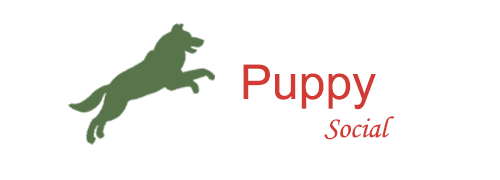 Come for Puppy Social