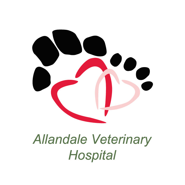 Allandale Veterinary Hospital